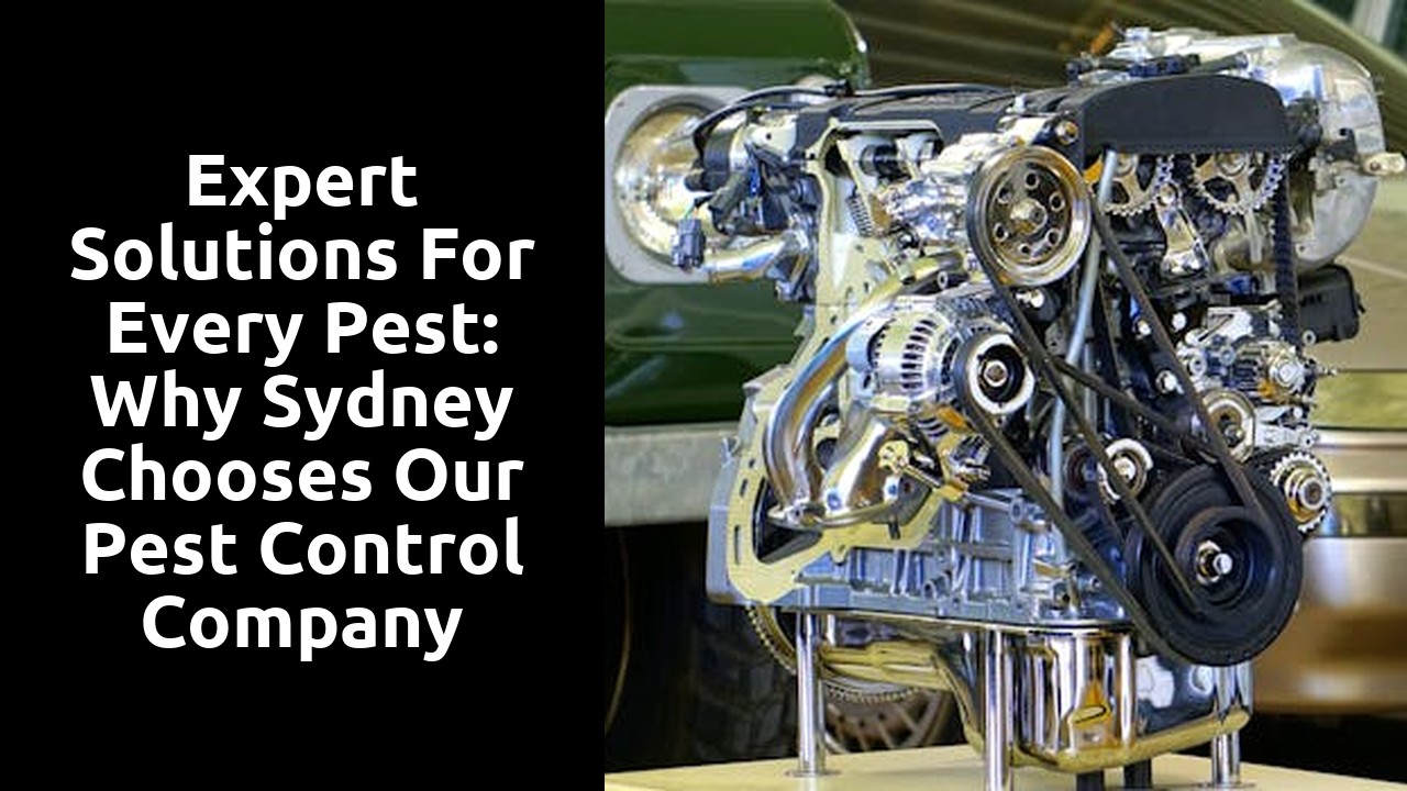 Expert Solutions for Every Pest: Why Sydney Chooses Our Pest Control Company